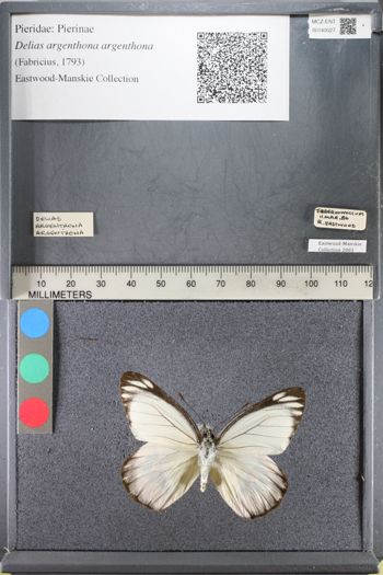 Media type: image;   Entomology 140027